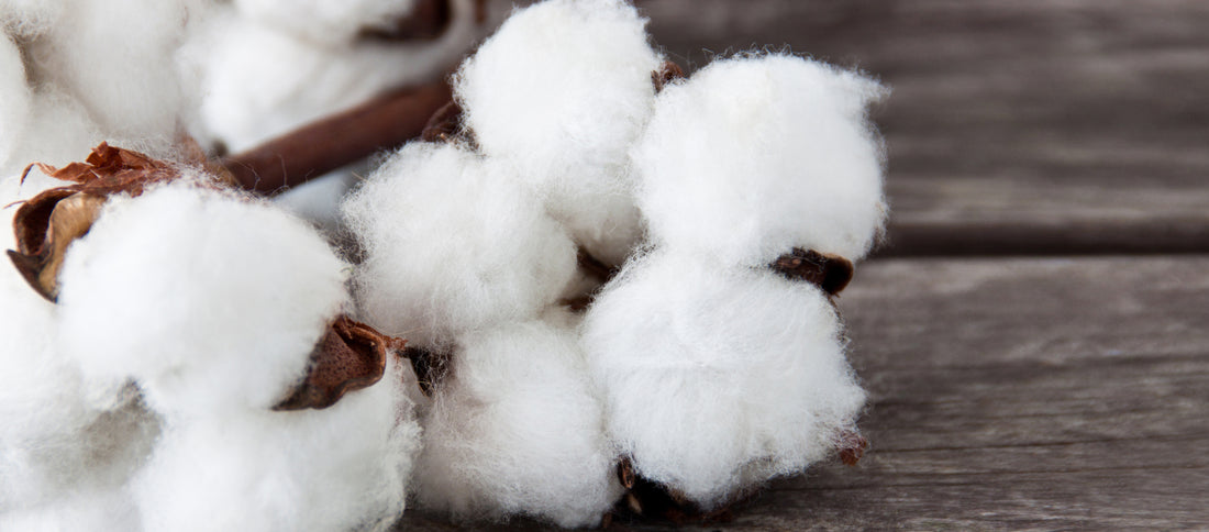 Embracing Cotton Clothing: A Sustainable Fashion Choice